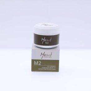 Mastor M2