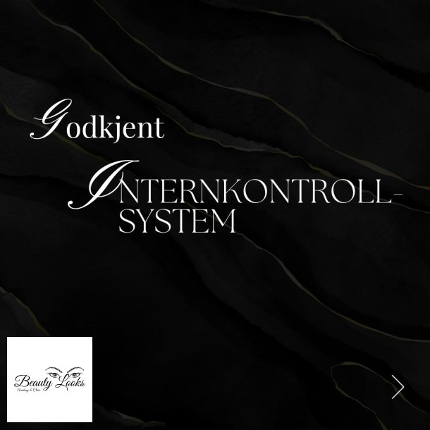Internkontroll