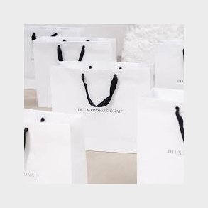 Dlux Professional Paper Bag