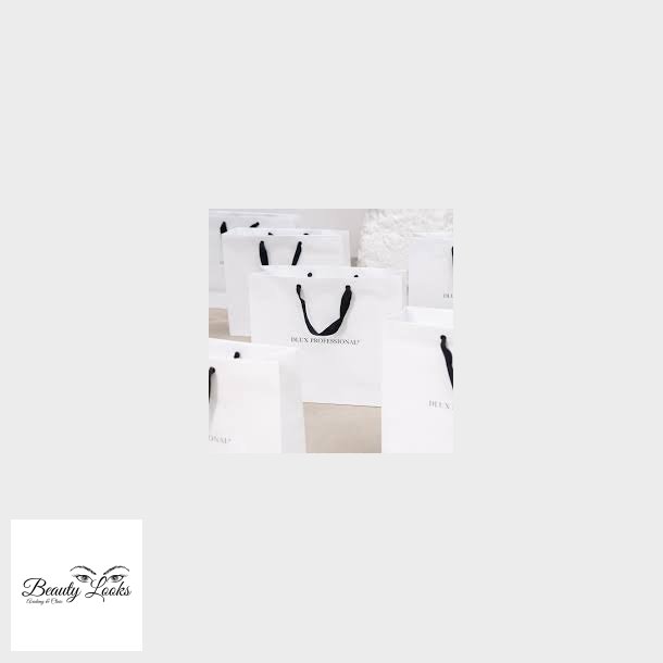 Dlux Professional Paper Bag